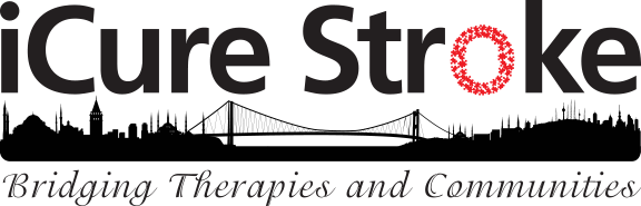 iCure Stroke